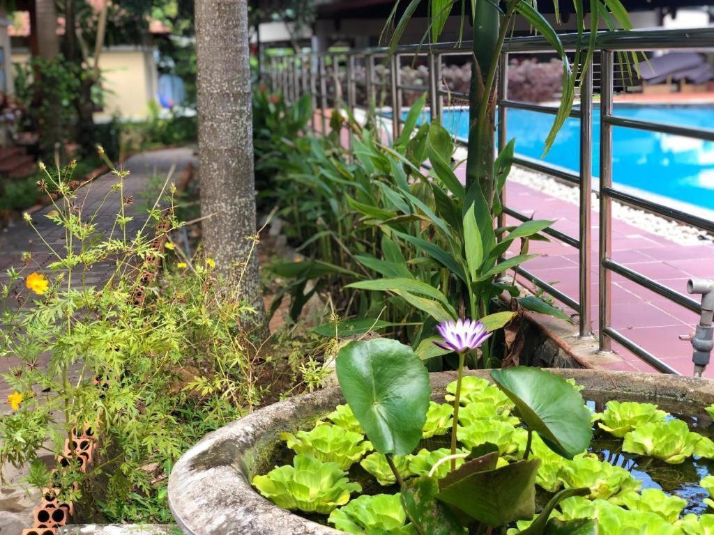Castaways Resort Phu Quoc Dış mekan fotoğraf
