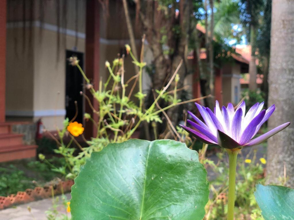 Castaways Resort Phu Quoc Dış mekan fotoğraf